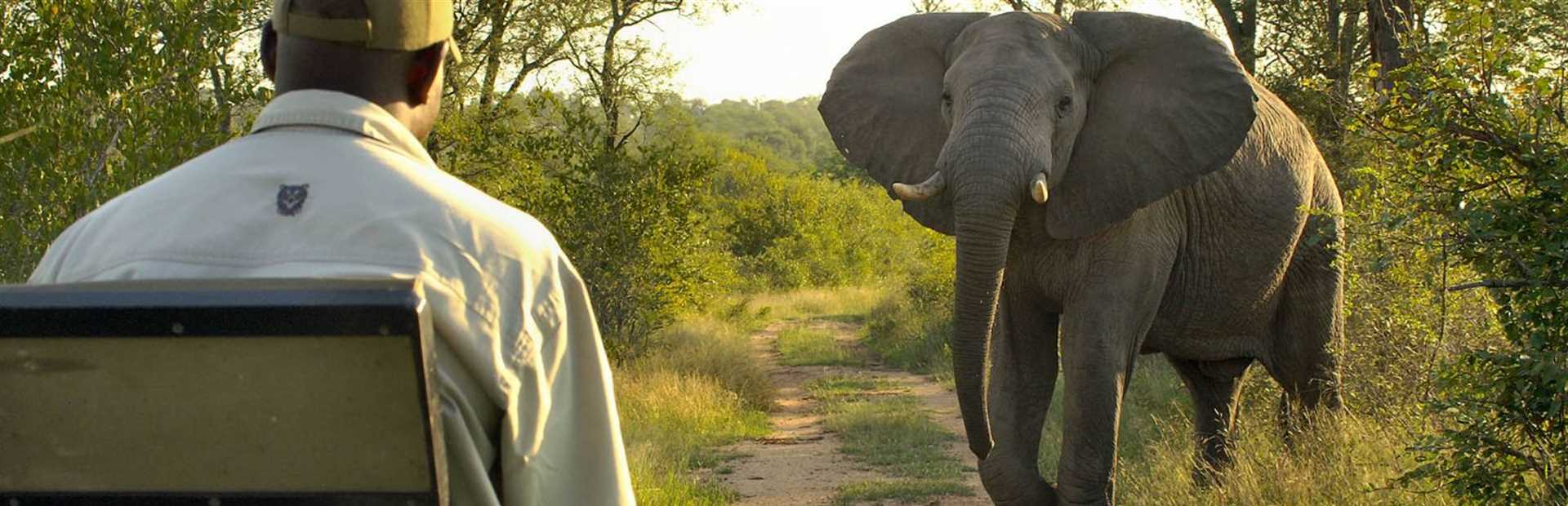 Lukimbi Safari Lodge